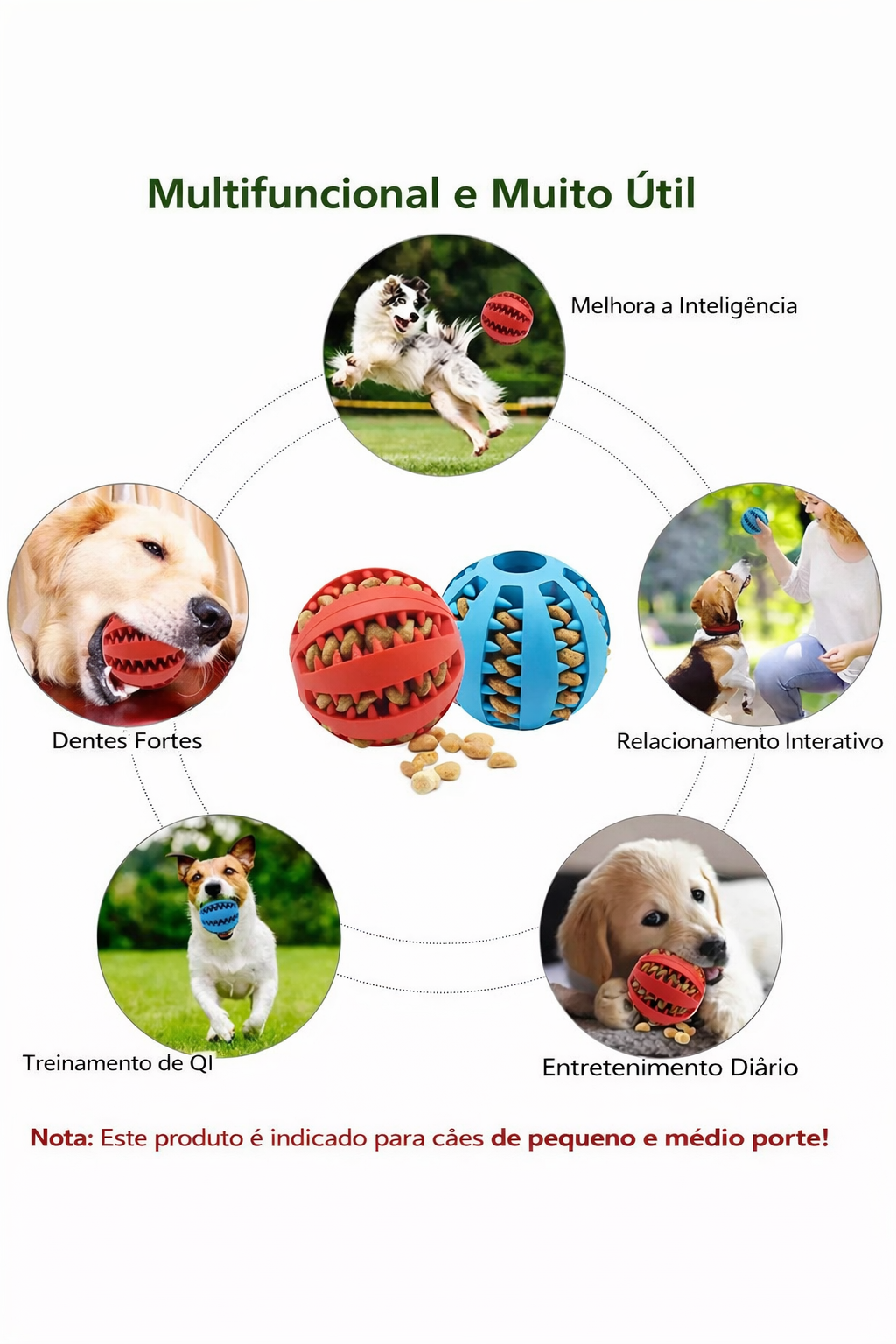 Bola Interativa para Cães