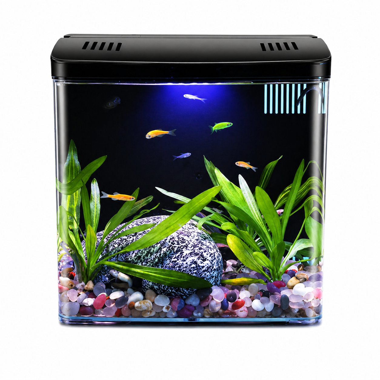 Mini Aquário Ecológico