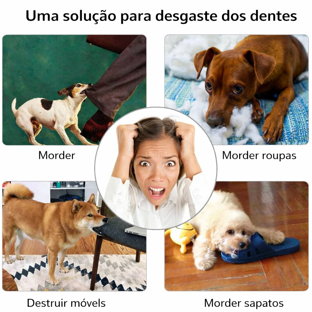 Bola Interativa para Cães