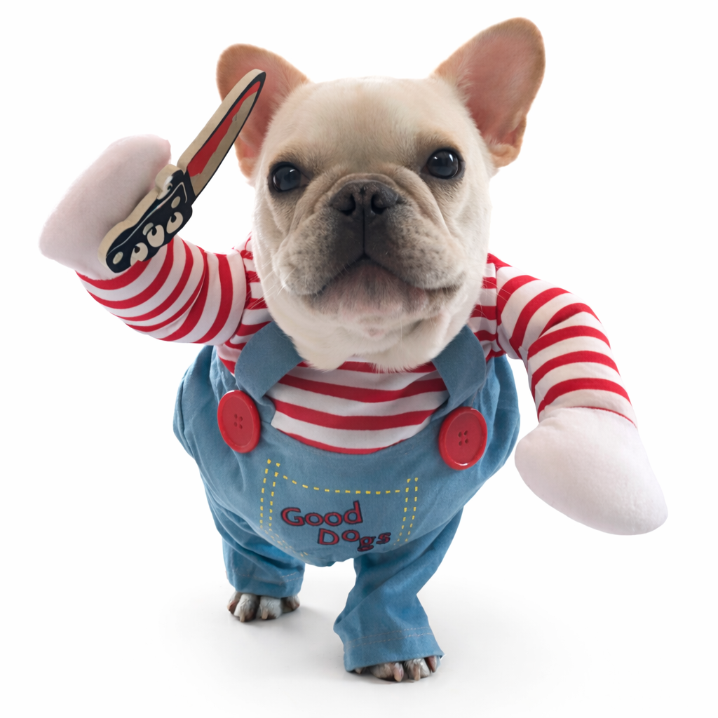 Fantasia Pet de Halloween – Cães e Gatos