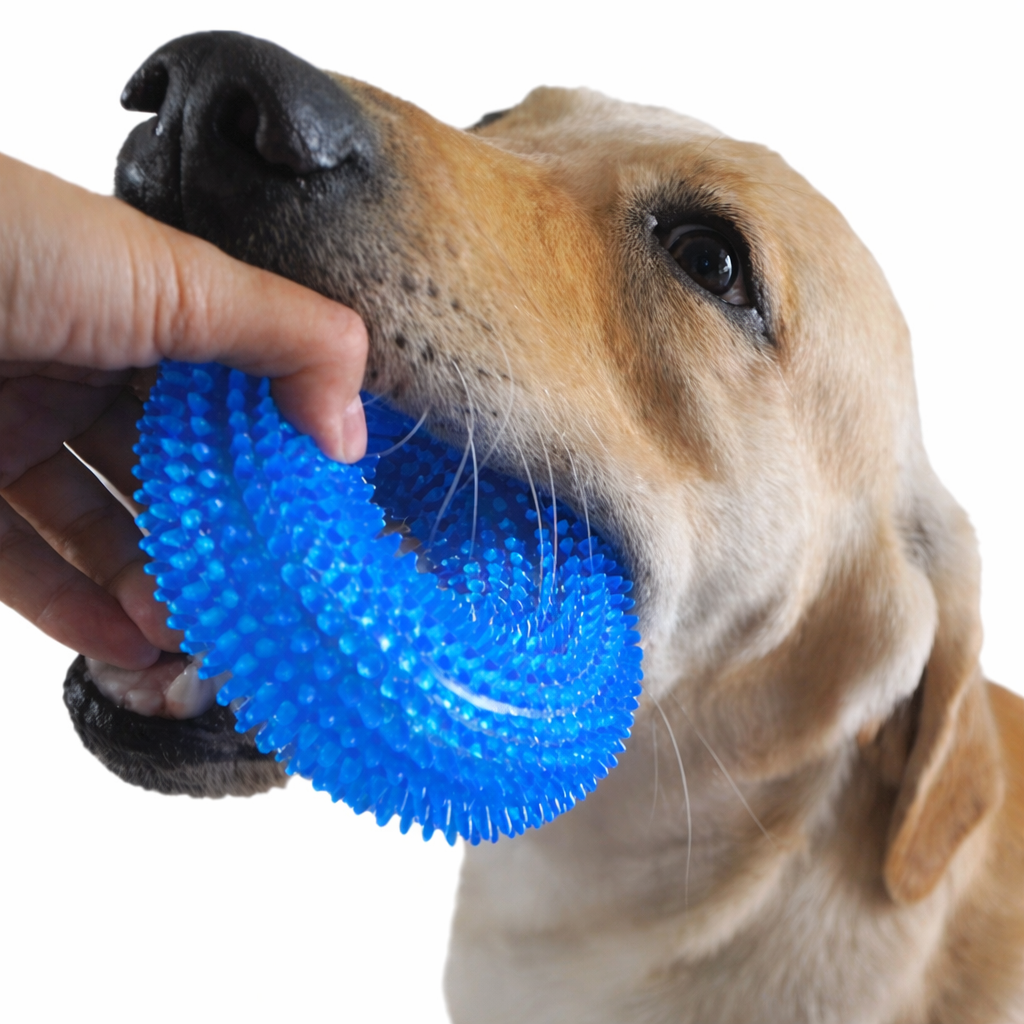 Brinquedo de Mastigar para Cães