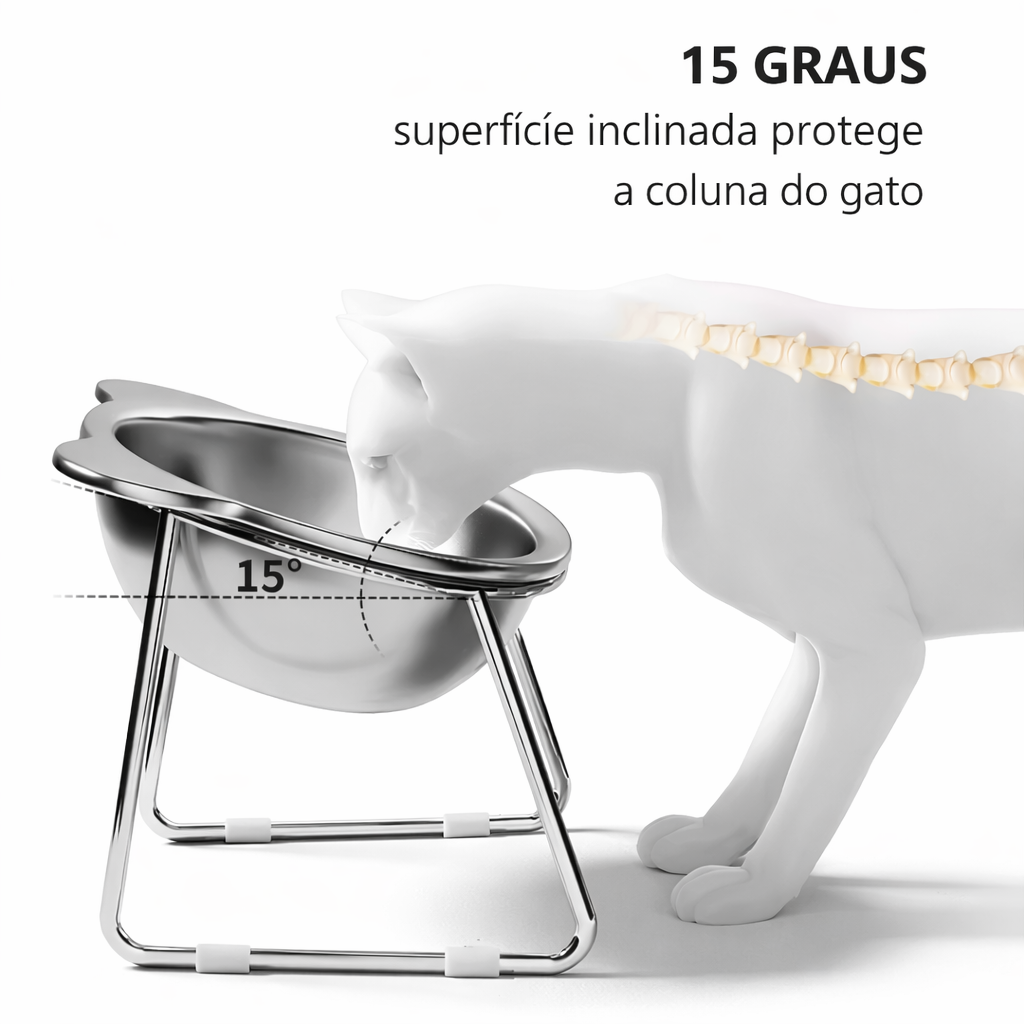 Comedouro Elevado Inclinado para Gatos