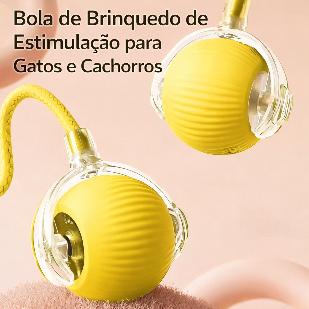 Bola com Corda para Pets